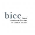 Logo des BICC (Bonn International Centre for Conflict Studies)